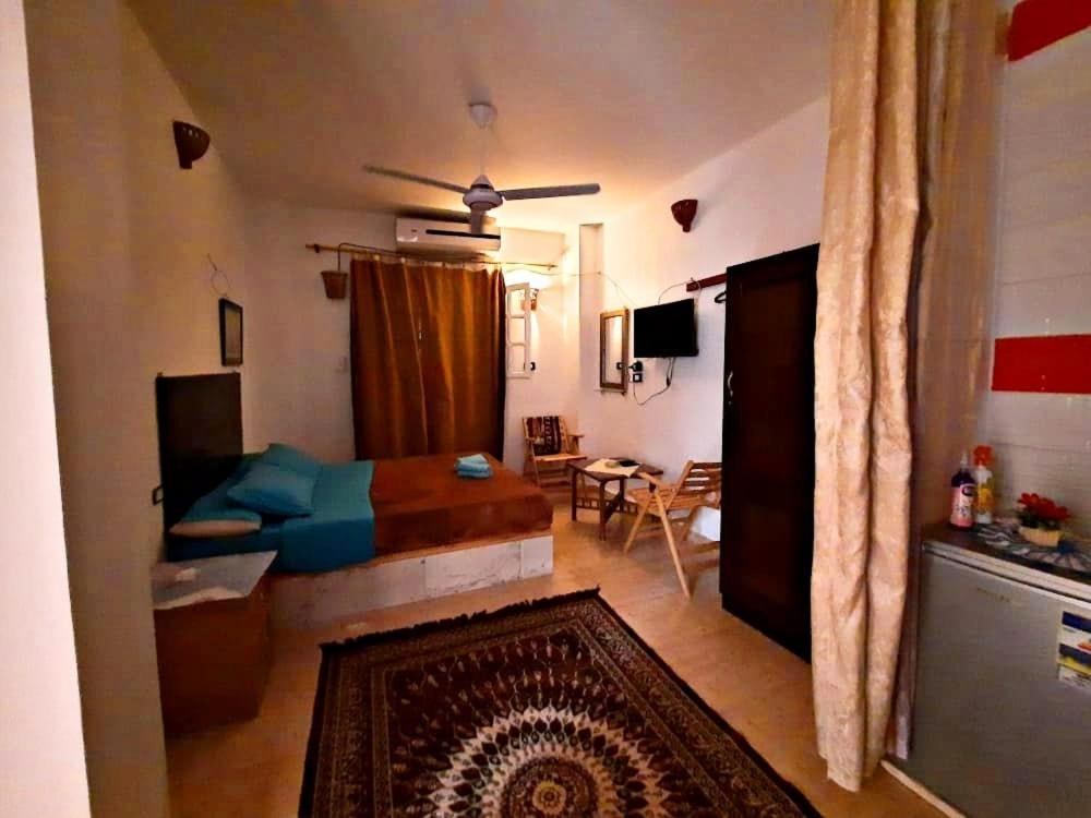 Eka Dolli Elephanten Asuán Exterior foto
